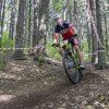 232_MTB_cross_country_Jablunka_2015